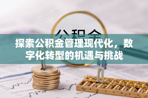 天柱探索公积金管理现代化，数字化转型的机遇与挑战