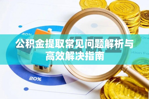 天柱公积金提取常见问题解析与高效解决指南